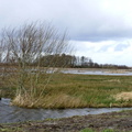 Hoogwater in de Onlanden 31.jpg