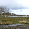 Hoogwater in de Onlanden 32.jpg